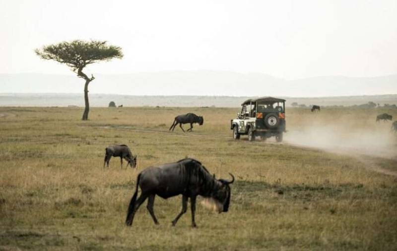 5Day Mombasa Tsavo Amboseli Nairobi Safari Tour