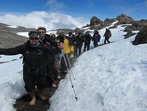 8 Days Kilimanjaro Lemosho Route Tour