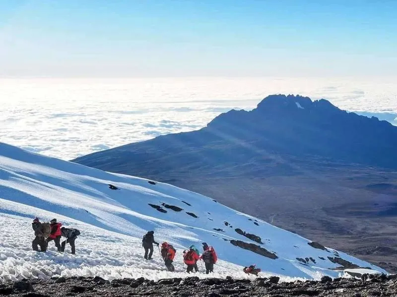 8 Days Kilimanjaro Rongai Route Trek Tour
