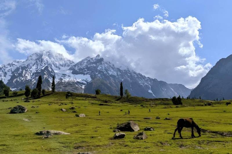 02Nights 03 Days Patnitop Holiday Package