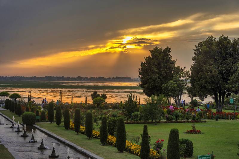 Kashmir Almond Blossom 4Nights 5Days