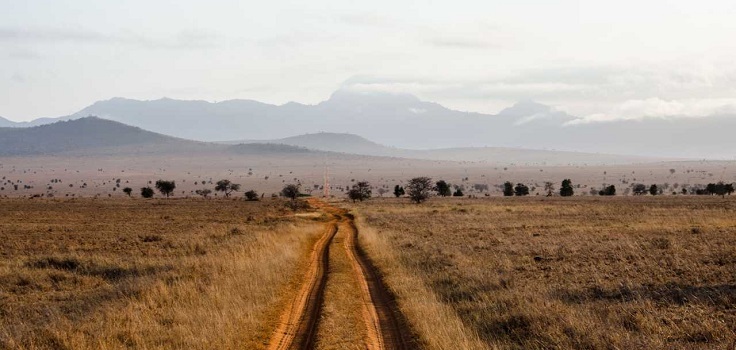 Tsavo East 1 Day Safari Tour From Beach To Beach