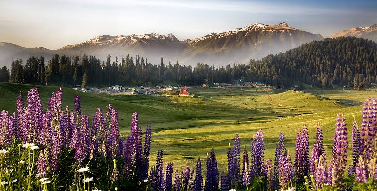 Kashmir Tour