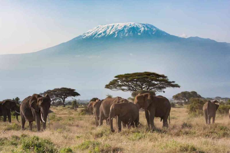 4 Days Safari - Tsavo West - Amboseli And Tsavo East Tour