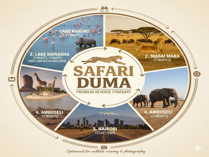 Safari Duma