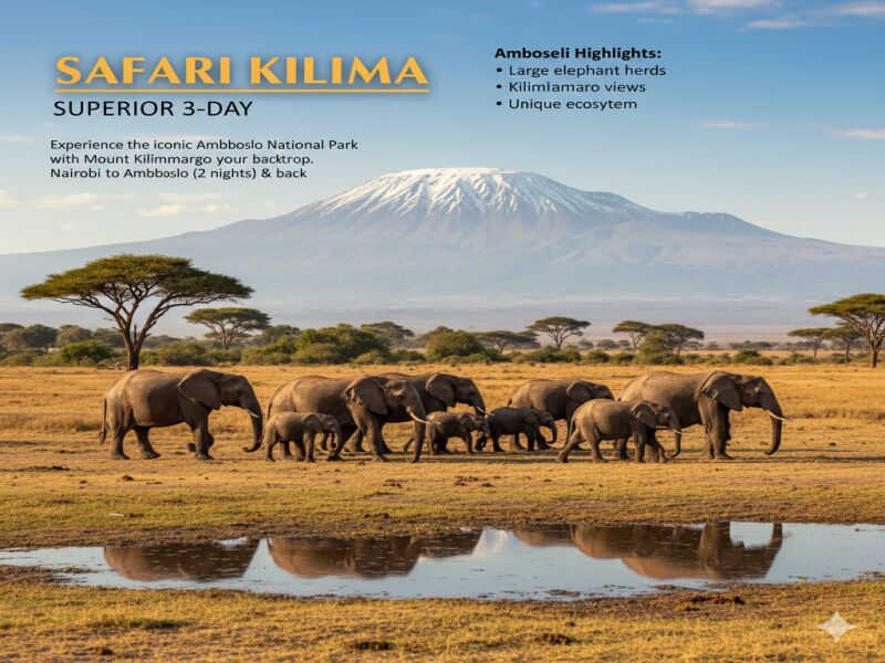 Safari Kilima