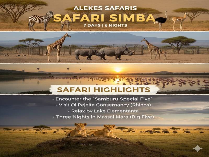 Safari Simba Tour
