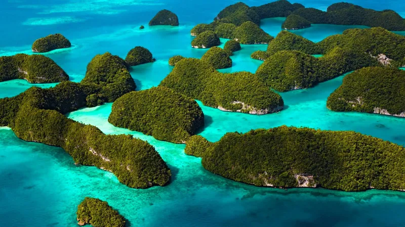 Incredible Andaman 07 Nights - 08 Days Tour With Rangat - Diglipur