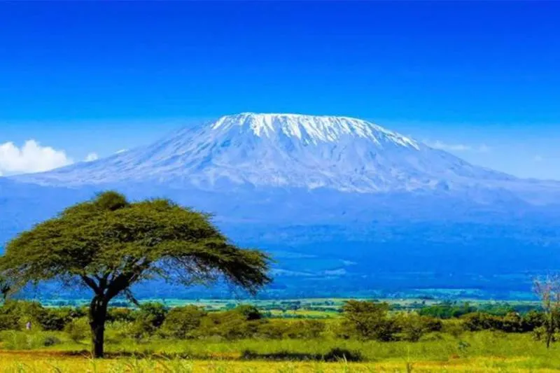 Private Kilimanjaro National Park Day Tour