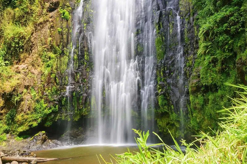 Materuni Waterfall Day Excursion Tour
