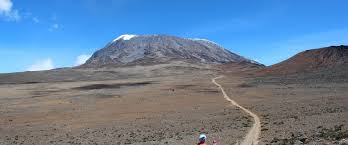 5-Day Marangu Route Standard Itinerary - Summit To Marangu Gate