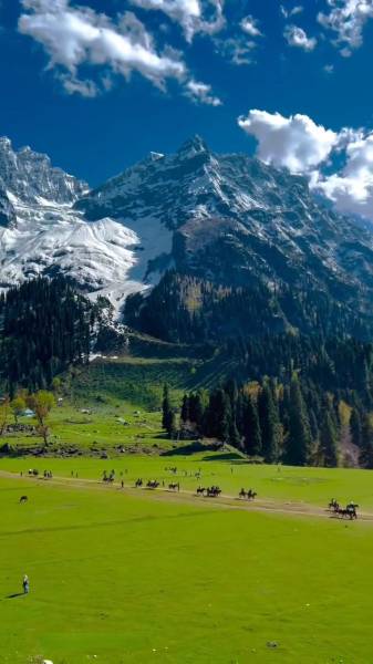 Enchanting Kashmir Odyssey 8 Nights - 9 Days Tour