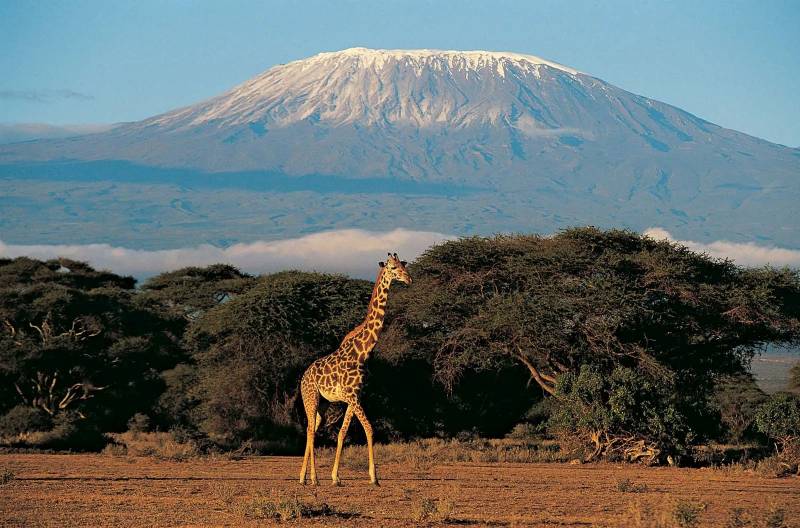13-Day Northern Tanzania Safari And Zanzibar Adventure Tour