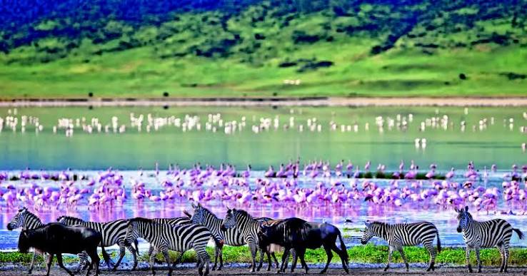 9-Day Best of Tanzania Wildlife Safari & Zanzibar Beaches