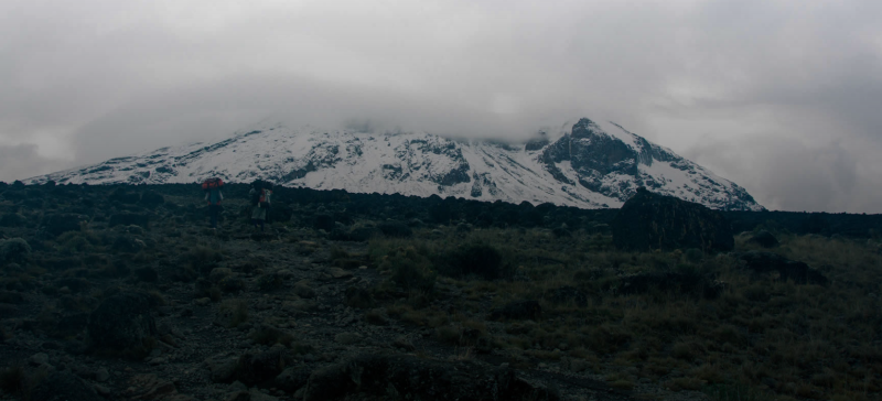 7 Days Kilimanjaro Shira Route Tour