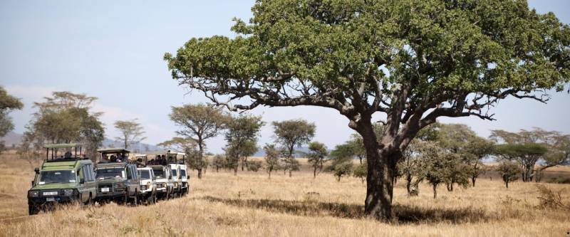 9 Days - 8 Nights Tanzania Safari Tour