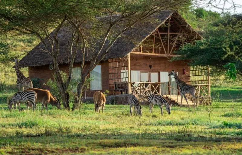 1 Day Tour To Serval Wildlife