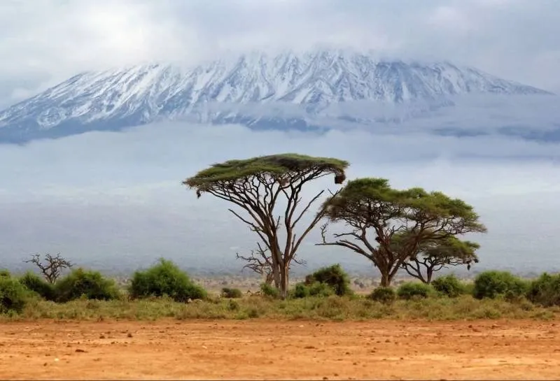 1 Day Hike To Mt. Kilimanjaro National Park Tour