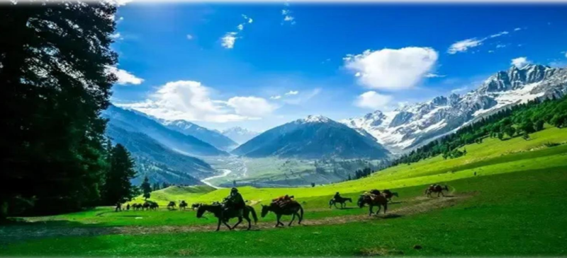 4 Nights - 5 Days Kashmir Tour Package