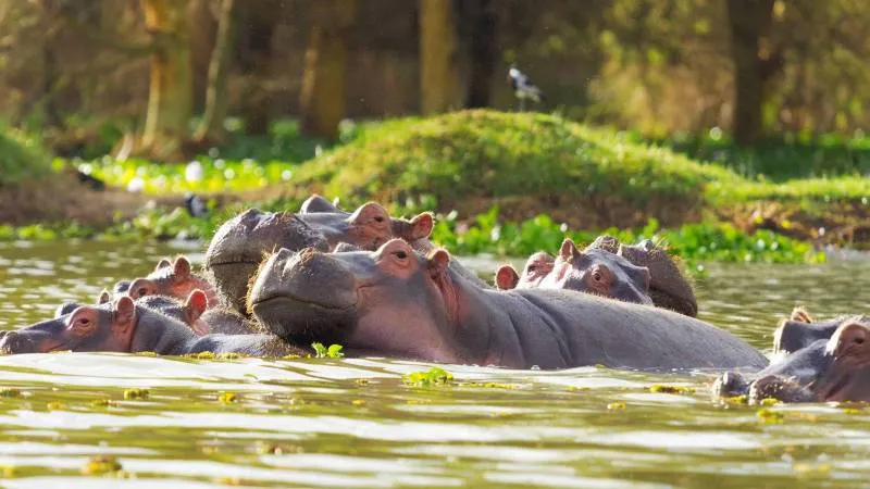 Nairobi - Samburu - Nanyuki - Nairobi Tour