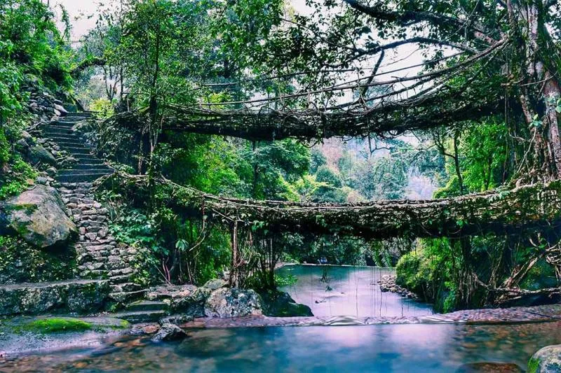 6 Nights - 7 Days Meghalaya Tour Package