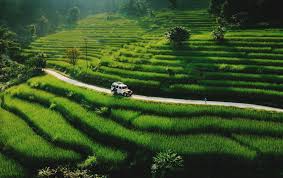 Twin Hills Retreat 4N - 5D Tour