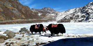 Sikkim Snowcap Trail 6N - 7D Tour