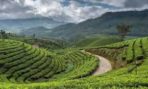 Gangtok - Darjeeling Delight 5 Nights - 6 Days Tour