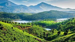 Kerala Package 6N - 7D With Houseboat
