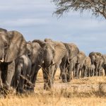 Adventure And Sun Seeker 15 Days - 14 Nights Tour