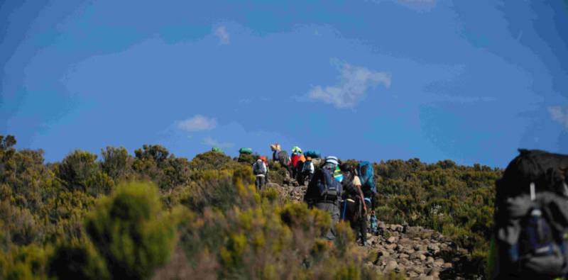 9 Days Machame Tour