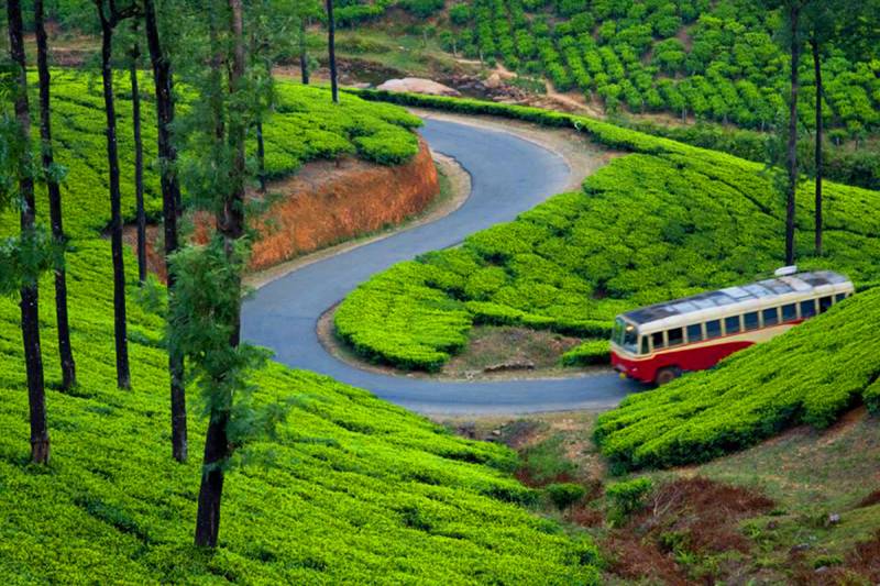 Munnar - Thekkady - Alleppey - Varkala Tour