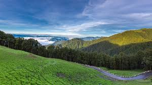 3 Night - 4 Days Jibhi - Tirthan Valley Tour