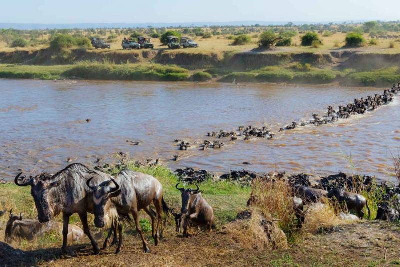 12-Day Great Migration Specialized Tour