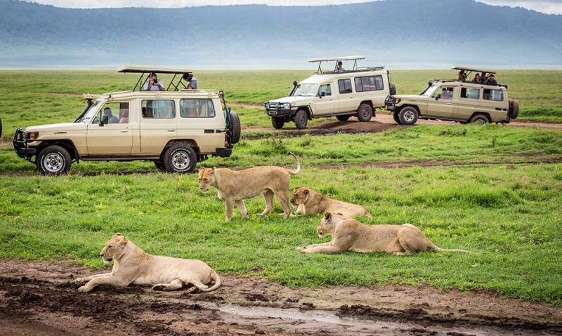 10-Day Family Adventure Safari Tour