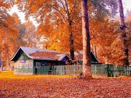 Kashmir - Autumn Miracles 9N - 10D Tour