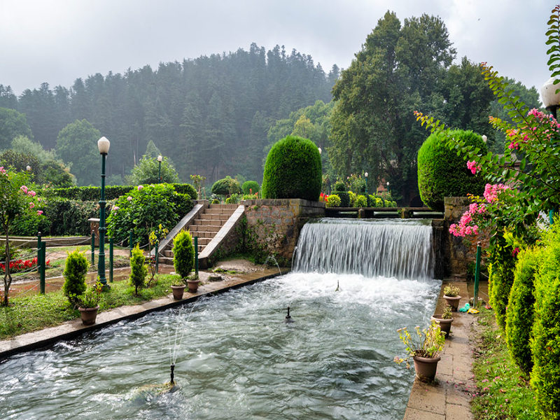 Kashmir - Spring Miracles 4N - 5D Tour