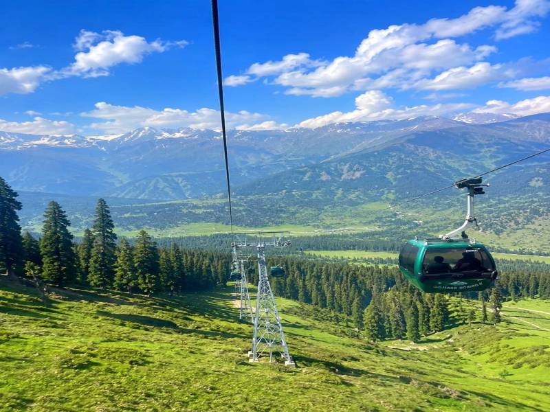 Romantic Kashmir Honeymoon Package 6 Days - 5 Nights