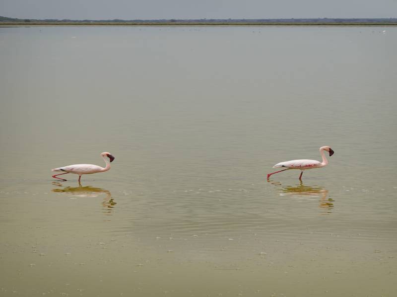 4 Days In Naivasha And Nakuru Tour