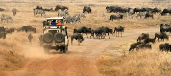 Southern Tanzania Adventure - 5 Days Tour