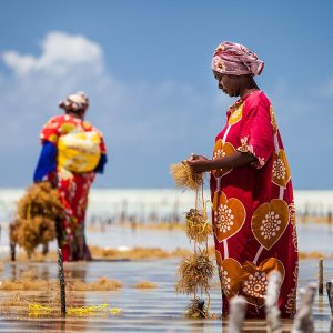 Zanzibar Village Tour – Discover the Real Island Life
