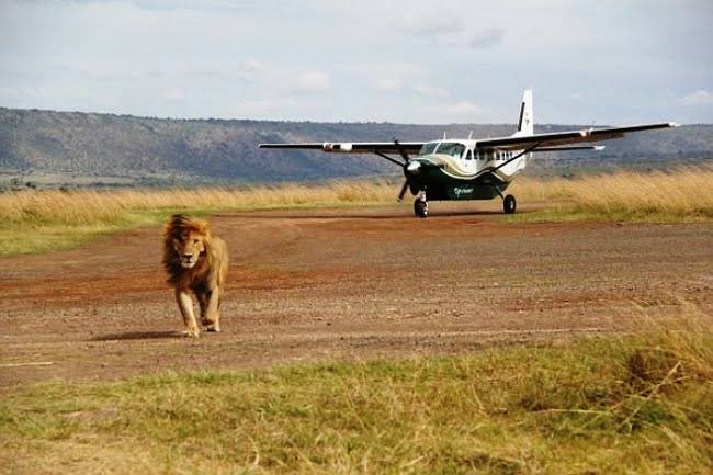 4 Days Masai Mara Fly-In Tour