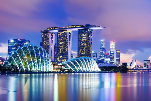 Singapore with 3 night Cruise Tour