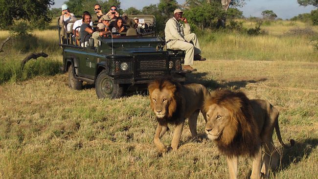 Tanzania Safari Trip Package