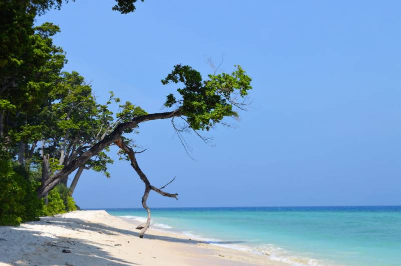 Andaman Package 6 Nights 7 Days