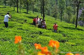 Coimbatore - Ooty Tour 3N/4D