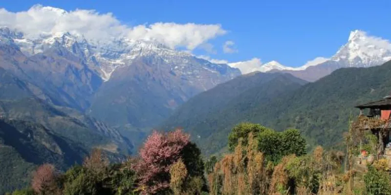 Nepal with Chitwan, Lumbini, Pokhra, Kathmandu and Ghandruk 2026