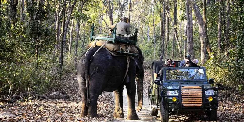 4 Night 5 Days Jabalpur - Kanha - Bargi Dam Tour