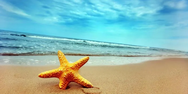 Andaman Honeymoon Tour