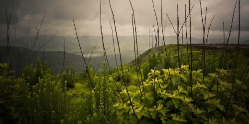 Beautiful Shillong with Guwahati Tour